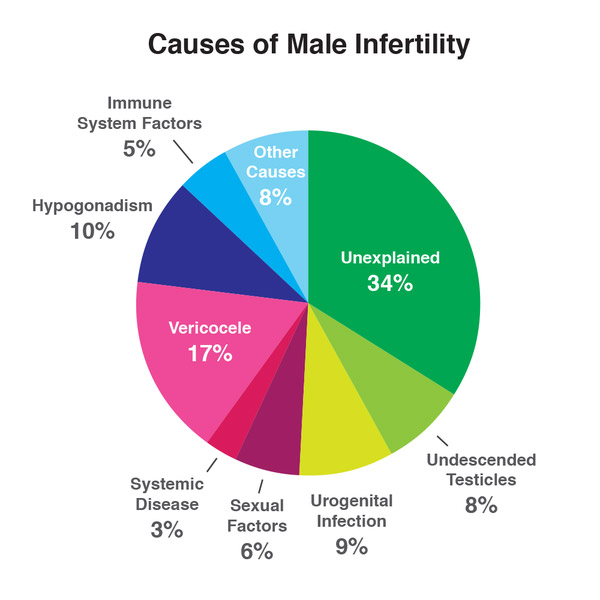 Causes of Male Infertility