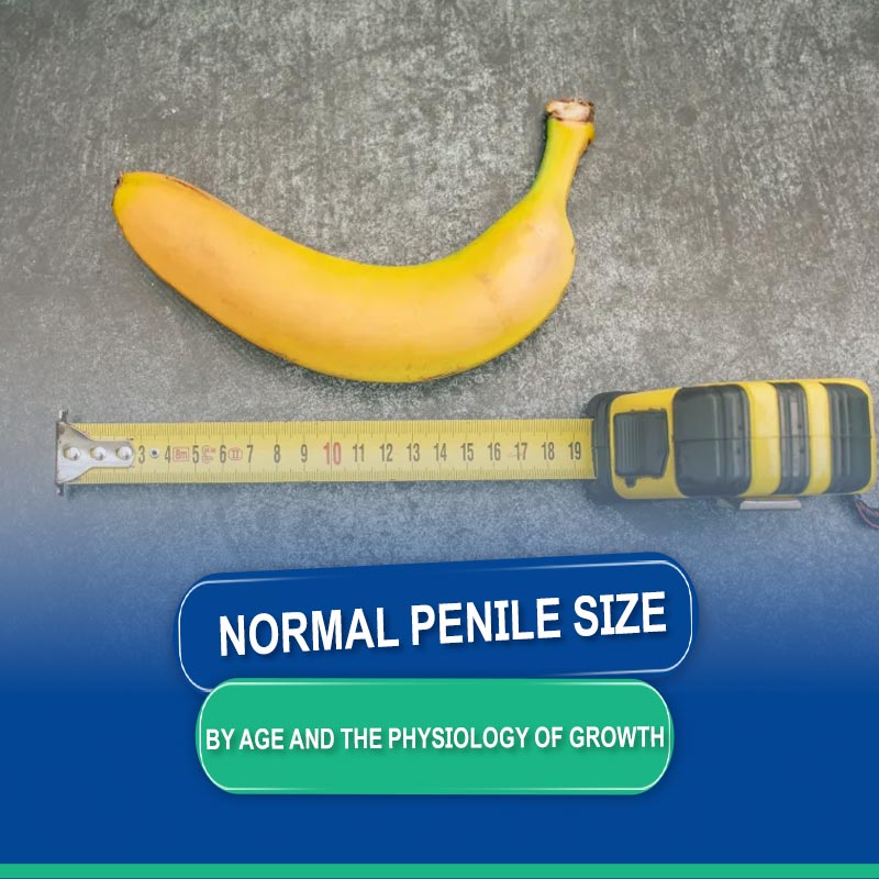 Normal Penile Size by Age and the Physiology of Growth