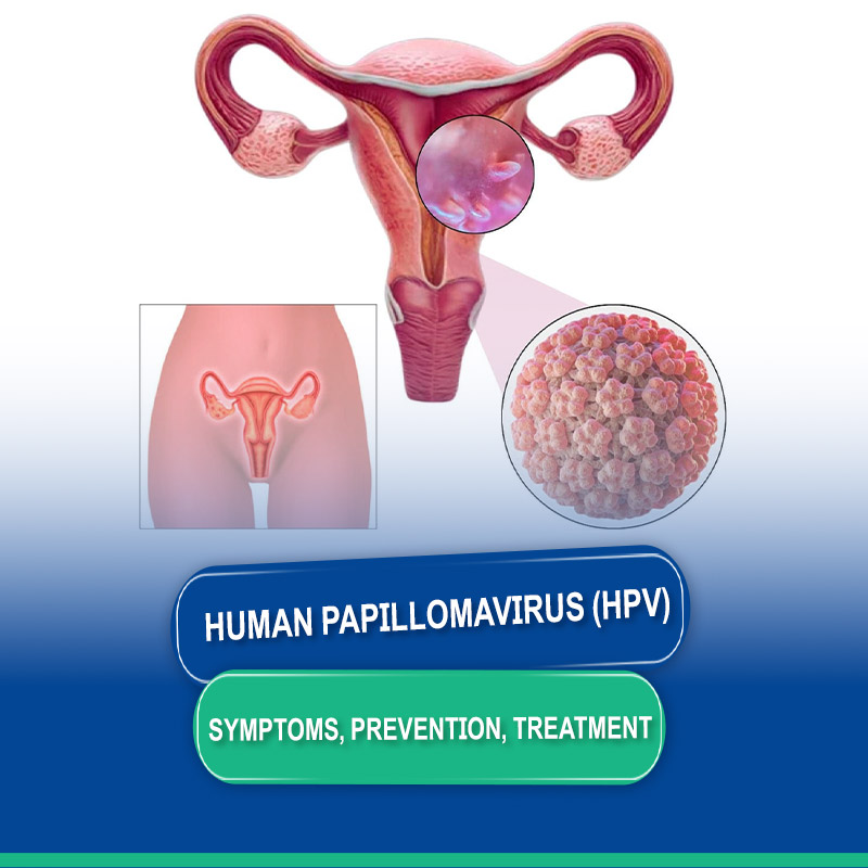 Human Papillomavirus (HPV): Symptoms, Transmission, Prevention, and Treatment
